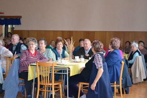 Setkání seniorů 2013