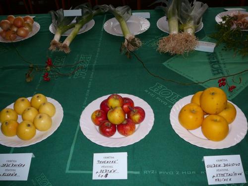 Výstava ovoce a zeleniny 2013
