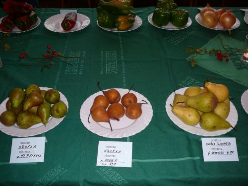 Výstava ovoce a zeleniny 2013