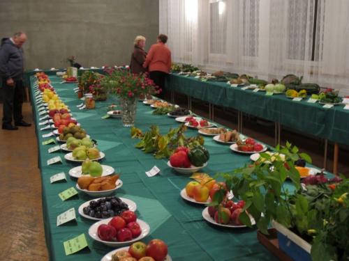 Výstavka ovoce a zeleniny 2015