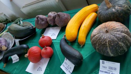 Setkání seniorů, výstava ovoce a zeleniny 2016