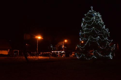 Rozsvěcení vánočního stromu 2016