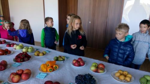 děti na výstavě ovoce a zeleniny 2018